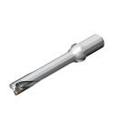 Sandvik Coromant DS20-D1700L20-06 CoroDrill® DS20 indexable insert drill