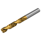 Sandvik Coromant 860.1-0600-019A0-PM P1BM CoroDrill® 860-PM solid carbide drill